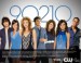 90210-season-two-poster_558x431.jpg